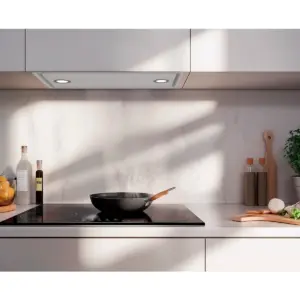 Thermex Nordic 6210, Emhætte til centralventilation